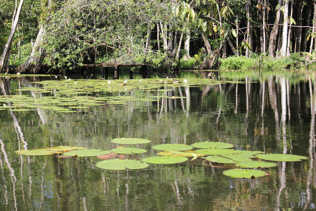 Hotel Y Restaurante Backpackers Rio Dulce Town Kültér fotó